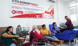 timah donor darah