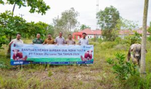 timah berbagi hewan kurban bangka selatan