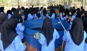 pt timah belajar pengelolahan bekas tambang