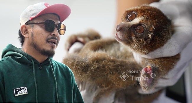 pt timah dan alobi perkuat penyelamatan dibabel
