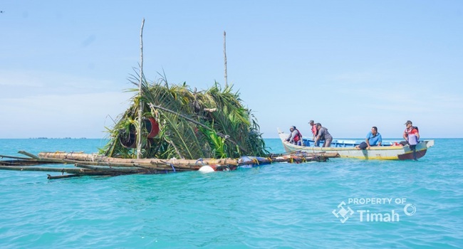 Dari Terumbu Buatan hingga Restocking Cumi, Upaya PT TIMAH Jaga Ekosistem Laut dan Dukung Nelayan