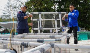 pt timah dan hnsi kolaborasi